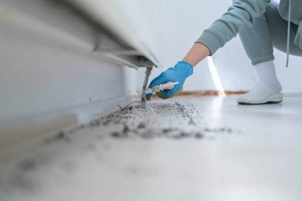 Best Best Pest Control Companies  in Acworth, GA